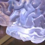 Featured image for 10 Proven Strategies to Boost Your IQ to 132 in 2025