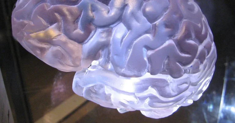 Featured image for 10 Proven Strategies to Boost Your IQ to 132 in 2025