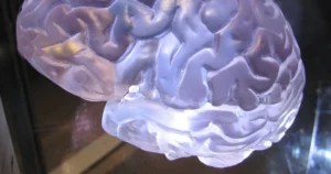 Featured image for Can IQ Scores Change Over Time Is 132 Permanent 2026