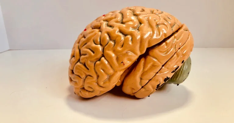 Featured image for Can You Improve Your IQ Score 15 Brain Hacks That Work 2026